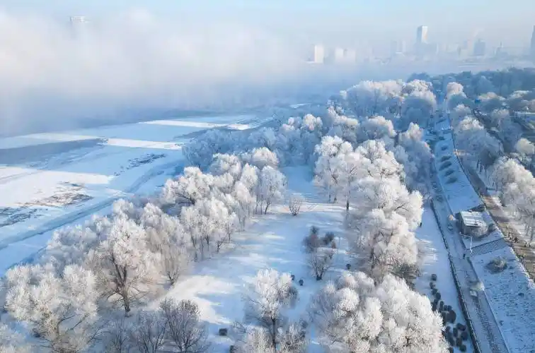 松花江畔现雾凇美景_新华社_颜麟蕴_吉林省