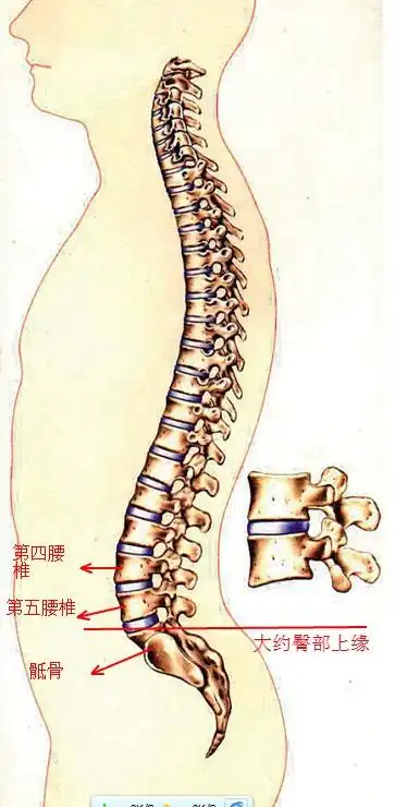 363_740竖版 竖屏