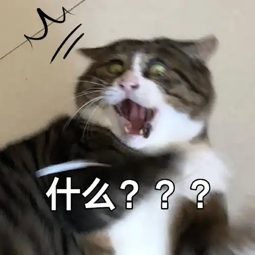 萌宠猫星人什么吃惊搞怪逗gif动图_动态图_表情包下载_soogif