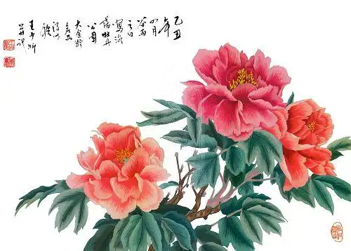 牡丹花工笔画大图