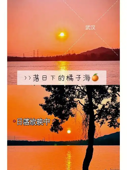 追寻绝美橘子海上的落日