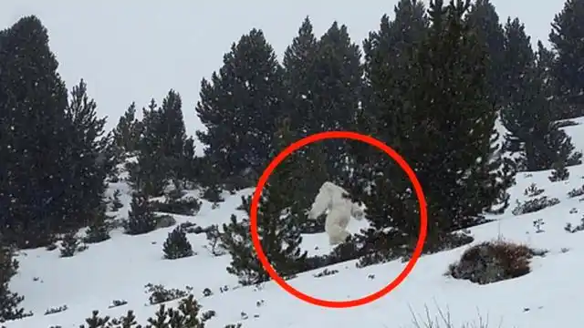 原创 喜马拉雅山出现神秘壁画:野人大战外星人,人类祖先的来历不一般