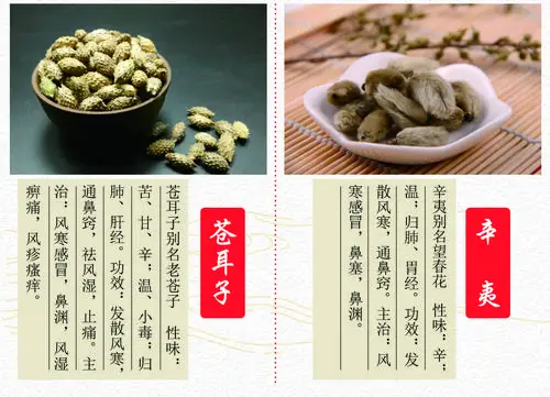 风寒感冒风湿痹痛的良药苍耳子