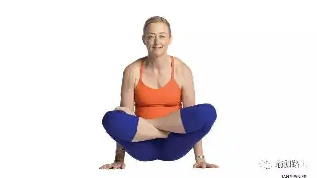 进阶瑜伽天秤式这个手臂支撑体式有点简单