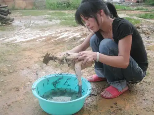 成长环境优越的90后现在还有多少人还会杀鸡杀鸭做饭做家务