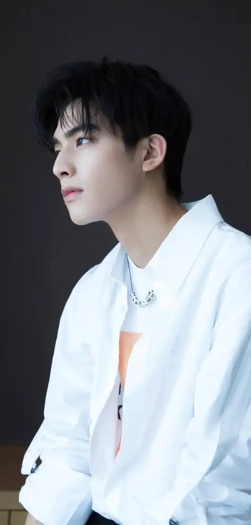 宋威龙白色衬衣阳光帅气1024x768分辨率查看