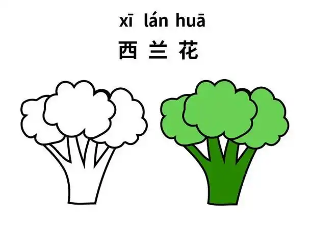 蔬菜简笔画,蔬菜简笔画可爱卡通(10种不同蔬菜的儿童简笔画素材)