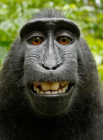 来一张搞笑的照片