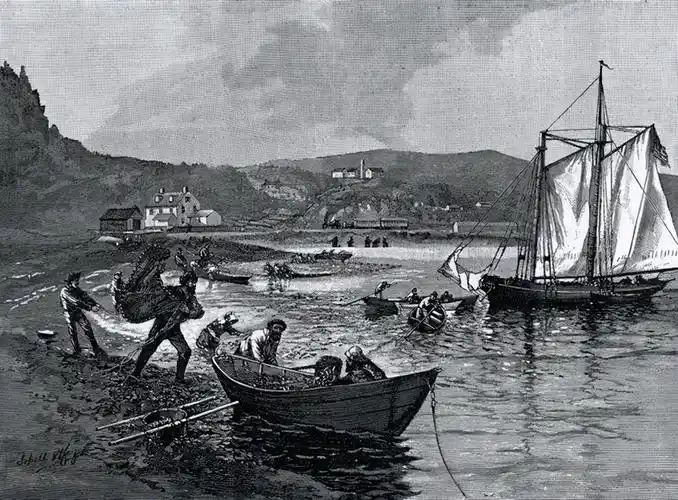 16世纪聪明的欧洲渔民掌握的保鲜技术让鳕鱼干能够保存很久