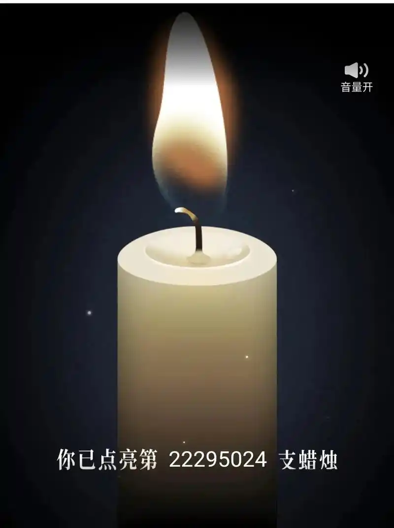 点烛深切缅怀遇难同胞们,希望烛光长存,愿逝者安息!#空难 - 抖音