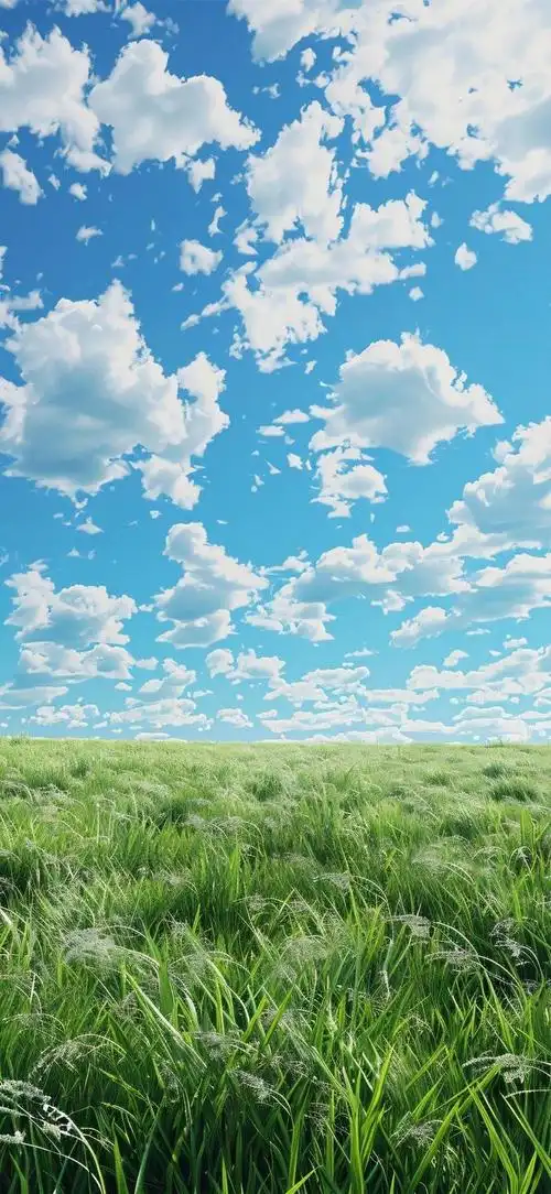 700_1517竖版 竖屏