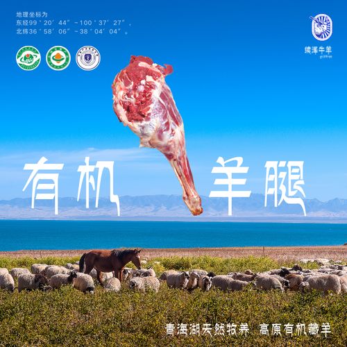 青海藏羊肉新鲜现杀整只羊后腿烧烤羊肉4斤高原牧场散养顺丰包邮