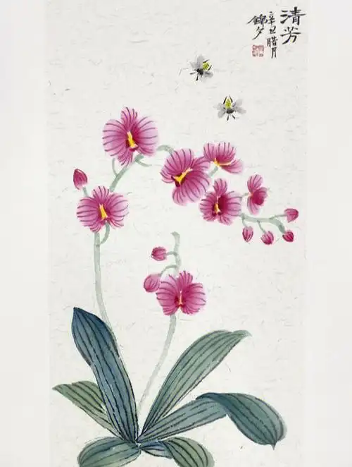 蝴蝶兰的写意国画教程详细笔记