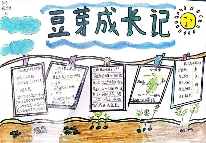 组织孩子们通过手抄报或思维导图的形式,展示自己种植的过程或发现