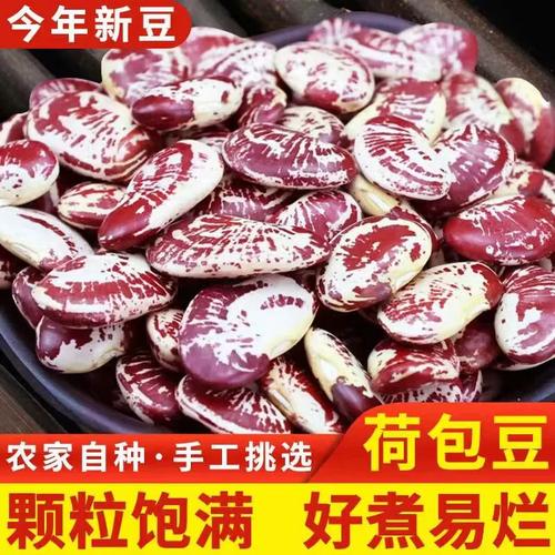 荷包豆新鲜东北农家大肾豆状元豆500g五谷杂粮豆花芸豆干货煮粥