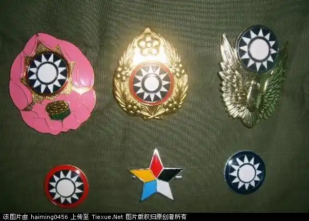 国民党的帽徽领花欣赏