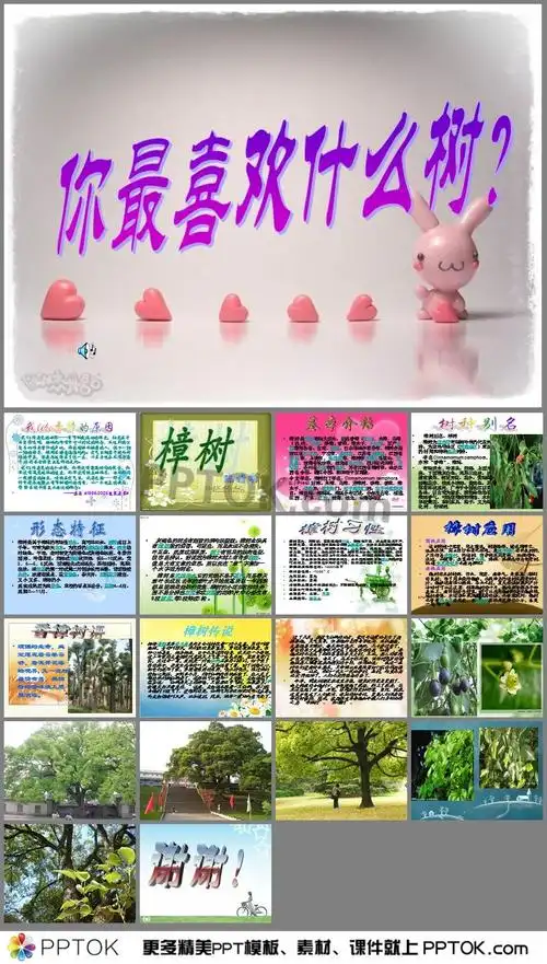 主要介绍了基本介绍;树种别名;形态特征;樟树习性;樟树应用;香樟树语