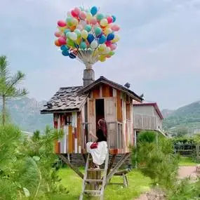 气球飞屋网红打卡拍照场景景点木屋小屋户外美陈摆件飞屋环游记