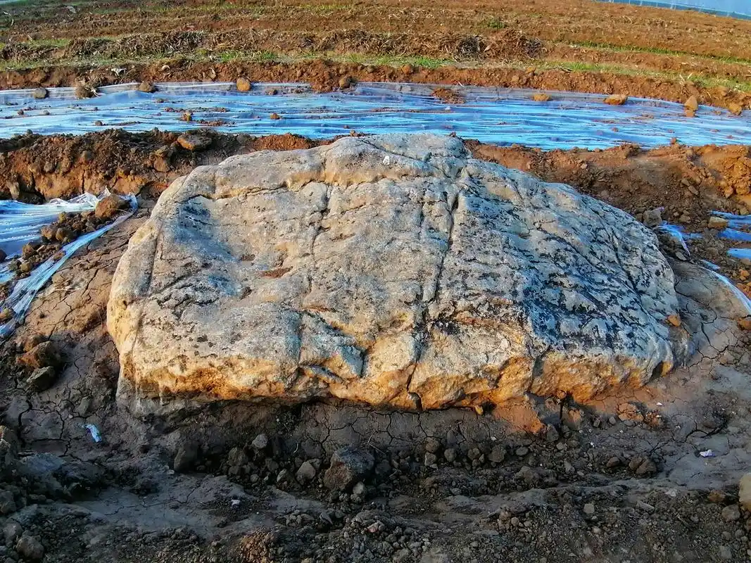 你知道世界上最小的山吗?