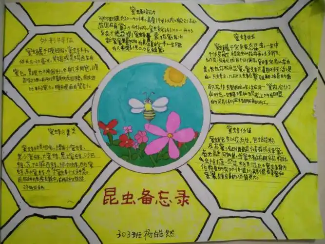 303班《蜜蜂备忘录》优秀作业展