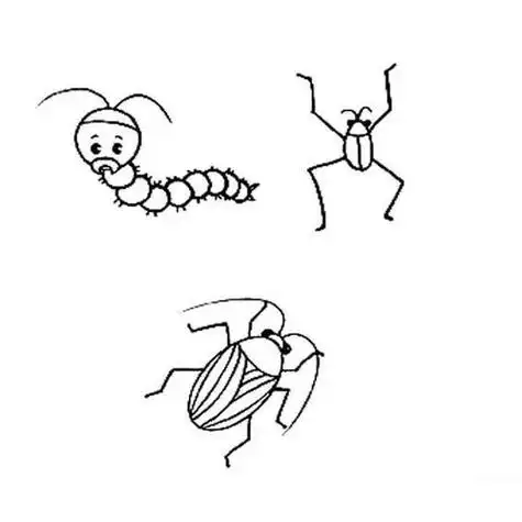 虫子的简笔画虫子的简笔画图片