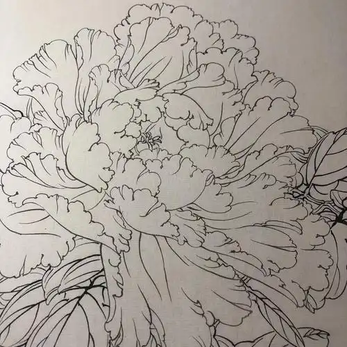 工笔画入门:教你6步画牡丹工笔画,简单易学,学会几分钟一幅画