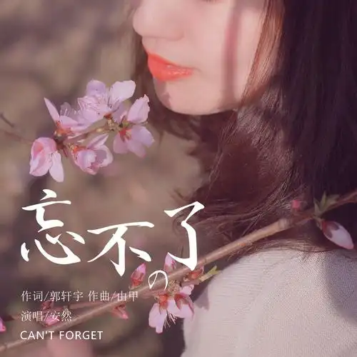 忘不了_安然_高音质在线试听_忘不了歌词|歌曲下载_酷狗音乐