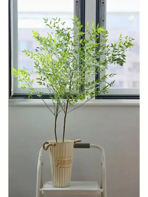 还要啥吊钟和马醉木