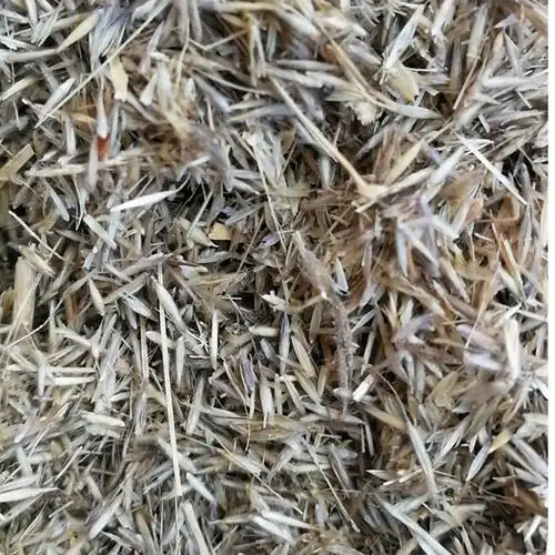 牧草种子 芨芨草种子积机草种子席萁草种子家禽饲料耐盐碱草籽