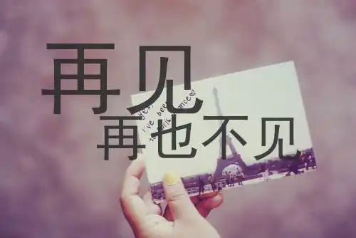 再见,再也不见,在也不见!