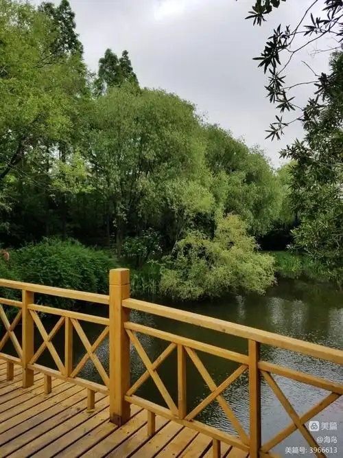 上海·友谊公园