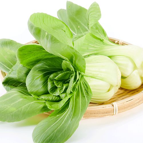 绿源禾心 有机油菜 新鲜蔬菜 现割现发货 总重 500g