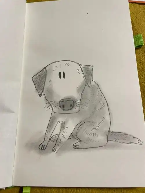 给我家狗来张速写