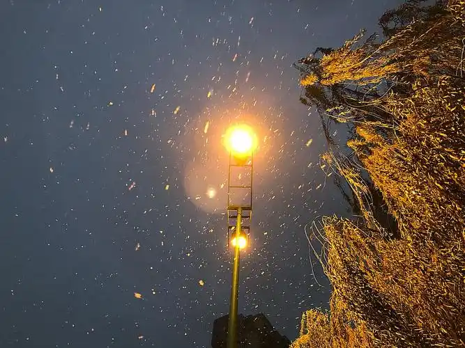 站在路灯下默默地