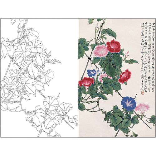 tp337于非闇工笔画牵牛花白描底稿国画花鸟临摹线描画实物打印稿