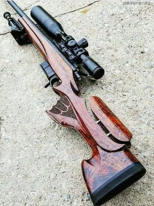 轻武器欣赏系列,枪械的颜值和性能成正比,我这么认为_手机搜狐网