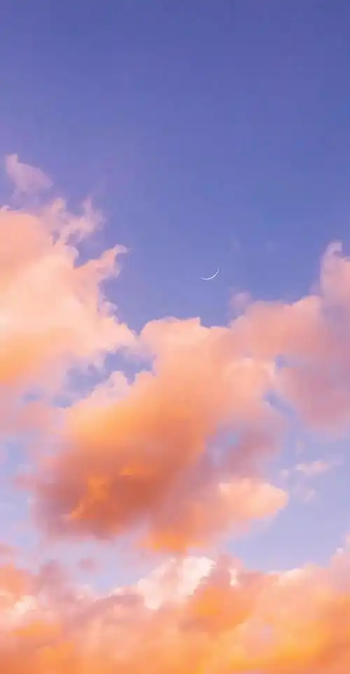 (图片来自网络)#今日头条##金粉社区##壁纸#特别声明:以上内容(如有