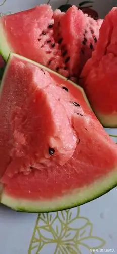 种西瓜选瓜有学问,注意这3点,长出大西瓜