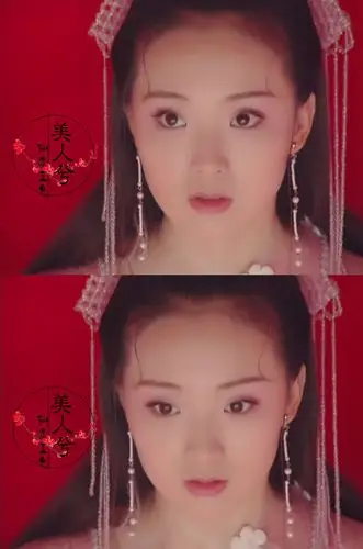 王艳《武林外史》【白飞飞】一枝红艳露凝香,云雨巫山枉断肠.