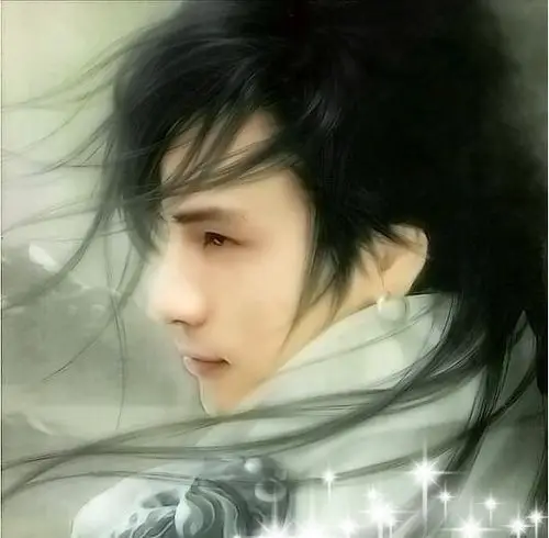 慕容冲,乱世佳公子