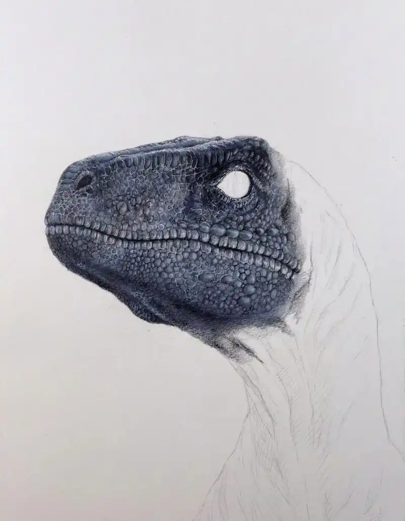 【彩铅手绘】迅猛龙 这张画得比较粗糙.