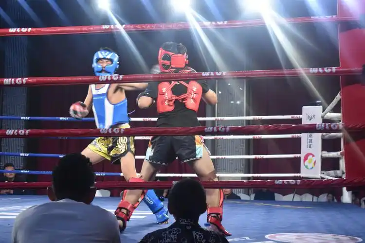 【喜讯】温县功夫文武学校在wlf武林风青少年搏击公开赛荣获优异成绩!