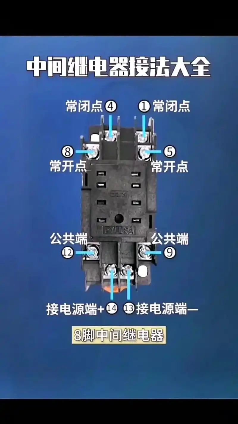 中间继电器(8脚,11脚,14脚)#零基础学电工 #电工知识 - 抖音