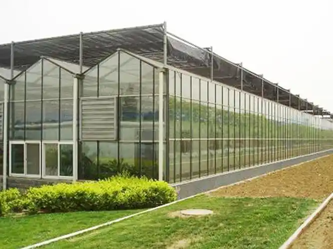 青州泽川农业科技有限公司