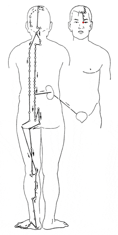五腧穴,(原穴,络穴),郄穴,(背俞穴,募穴),下合穴,八会穴,八脉交会穴