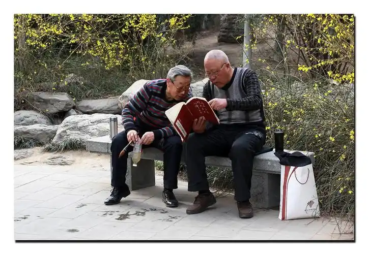 一组中老年人的业余生活照