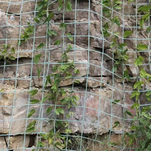 贵州 坡面种植绿化植物攀爬网 供油麻藤生长攀爬绿色网格