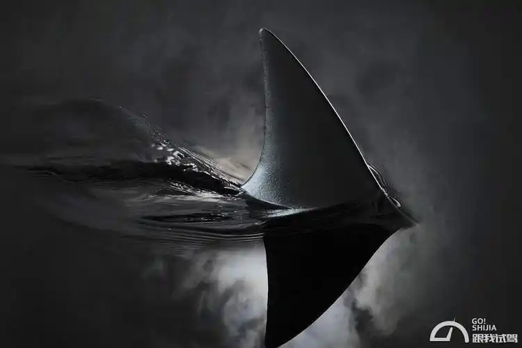 当然是宝马颜值担当的新标志——车顶上的"鲨鱼鳍"