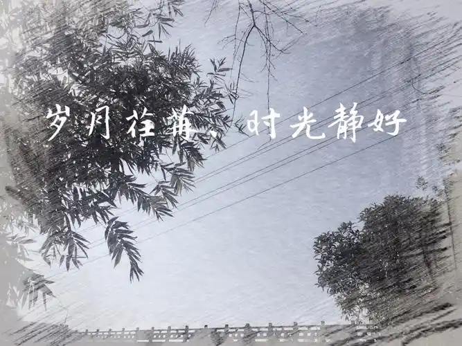 岁月荏苒,时光静好