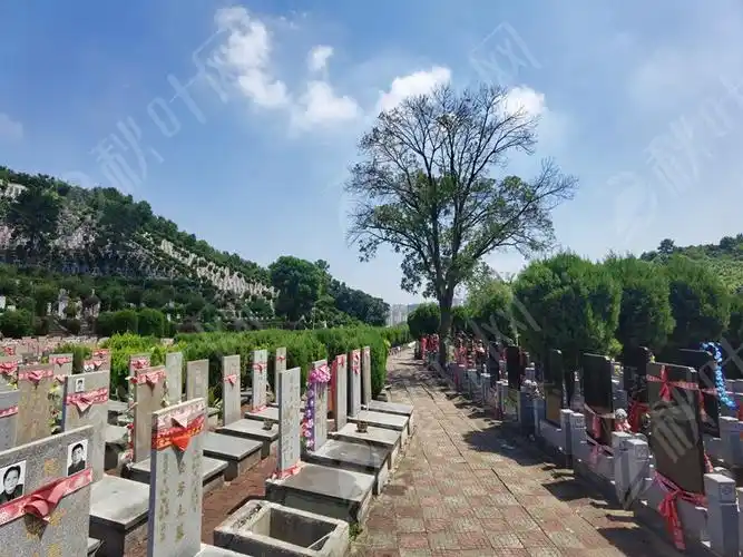 九峰寿安林苑,武汉陵园,武汉墓地,秋叶墓地网